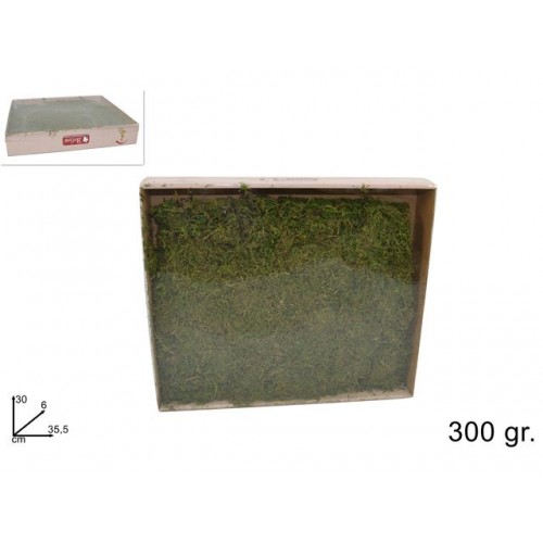 Scatola muschio 300gr verdehgw-836 green